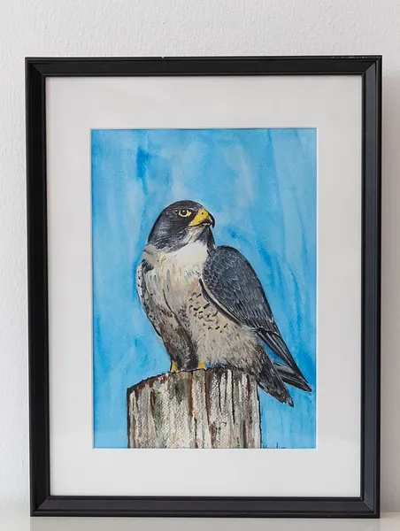 Image of Falcon by Nataliya Garbovska, made of Watercolor , Painting medium, from Abu Dhabi, UAE Photo 2 of 2.